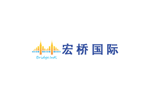 Bridge logo