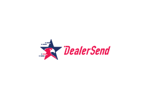 DealerSend logo