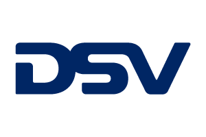 DSV logo