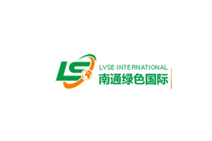 LvSe International logo