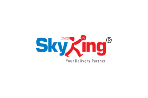 Skyking logo